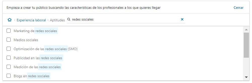 Publicidad en Linkedin: Segmentación por Funciones Laborales